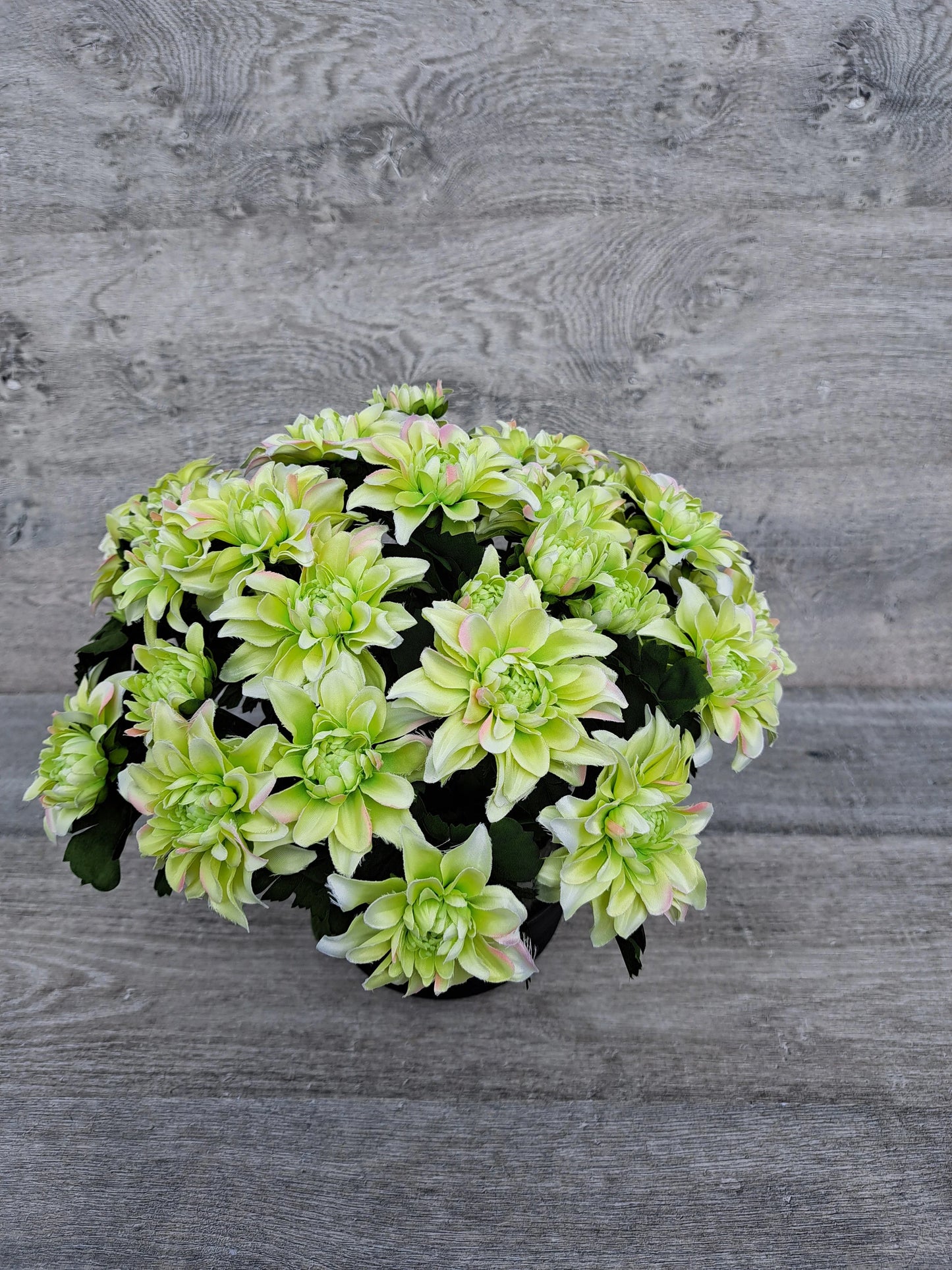 Artificial green chrysanths flower arrangement for grave decoration.