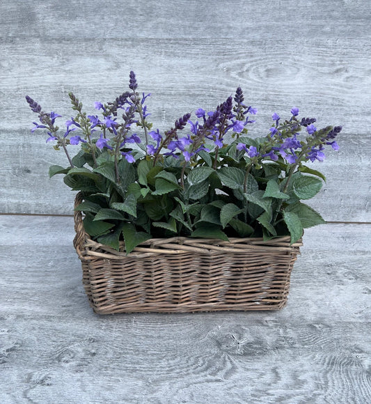 3 pots of artificial lavender/nepeta with rectangular wicker basket