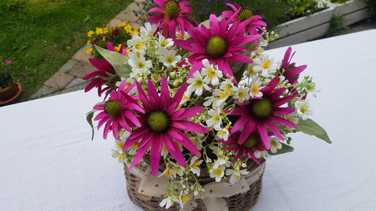 Artificial Flower Arrangement in Wicker/Willow Basket. Echinacea Wild Small Flowers Natural Moss